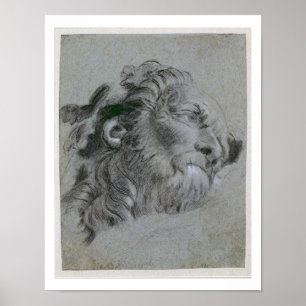 Leiter eines Fluss-Gottes, c.1751 (Schwarzkreide-E Poster