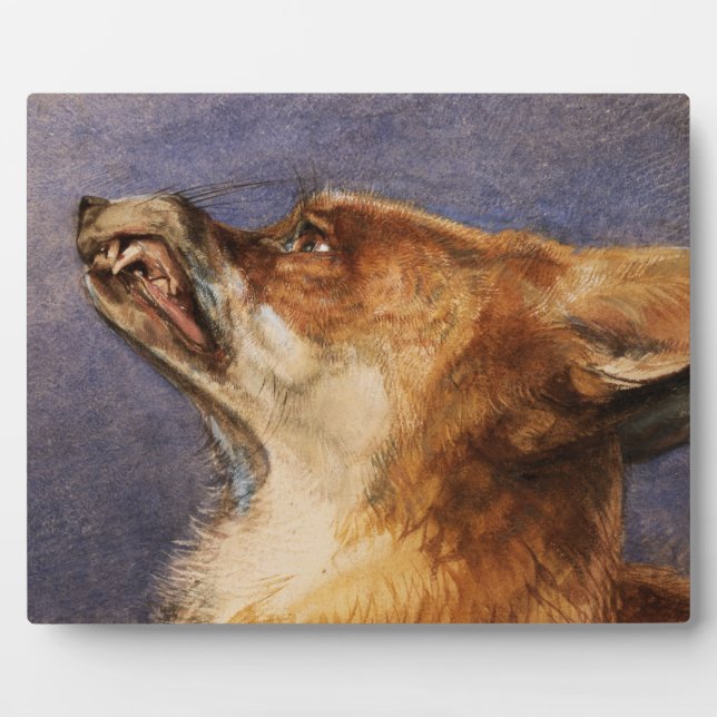 Leiter eines Fuchs Fotoplatte (Vorderseite)