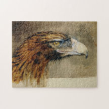 Leiter eines Golden Eagle (von John Ruskin)