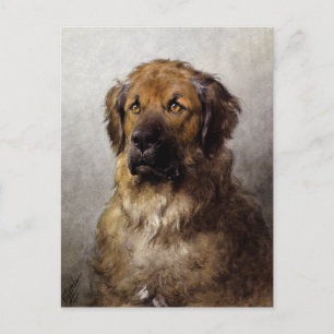 Leiter eines Leonberger Hundegemäldes Postkarte