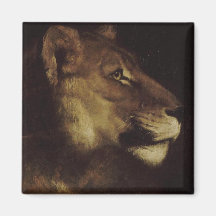 Leiter eines Löwen (Wildtier)