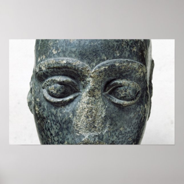 Leiter eines Mannes Poster (Vorne)