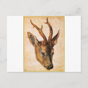 Leiter eines Stags von Albrecht Durer Postkarte