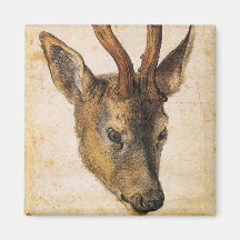 Leiter eines Stags (Wild Animal) (von Albrecht Dur