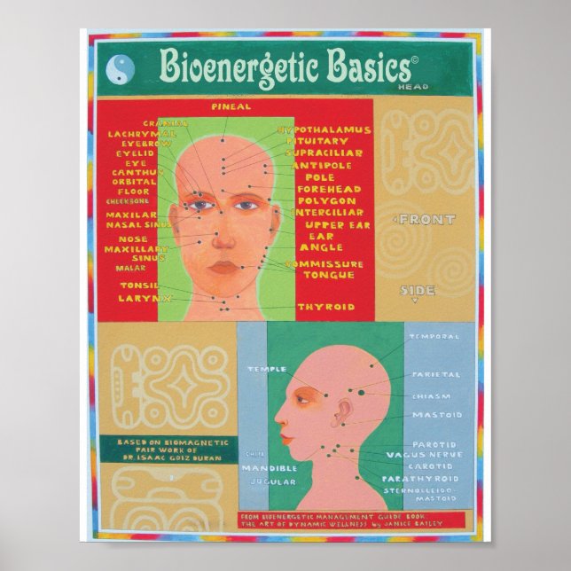 Leiter Poster (Vorne)