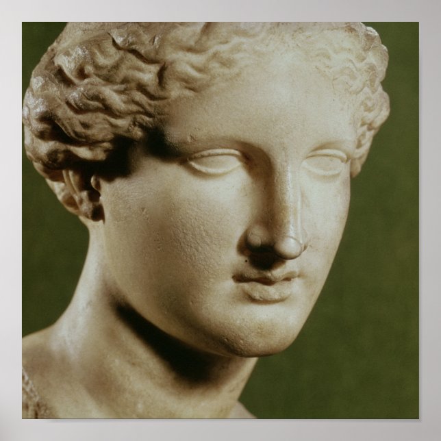 Leiter von Artemis Poster (Vorne)