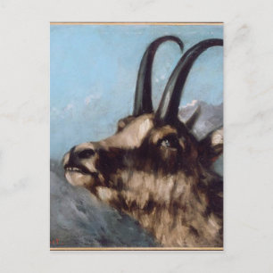 Leiter von Gazelle von Gustave Courbet Postkarte
