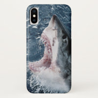Leiter von Great White Shark