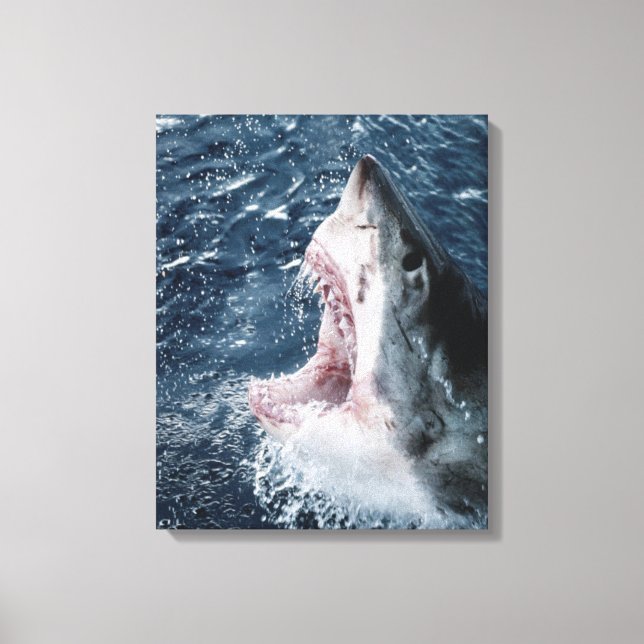 Leiter von Great White Shark Leinwanddruck (Vorderseite)