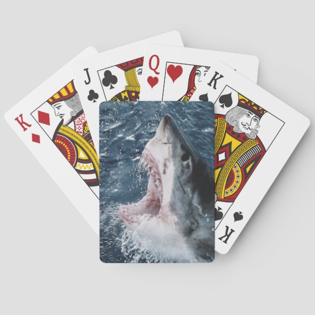 Leiter von Great White Shark Spielkarten (Rückseite)