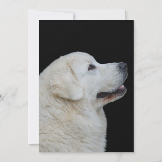 Leiterin der Atemberaubenden Polnischen Tatra Shee Dankeskarte (Vorderseite)