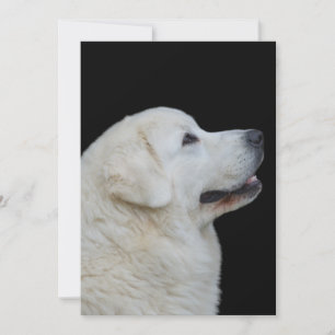 Leiterin der Atemberaubenden polnischen Tatra Shee Dankeskarte