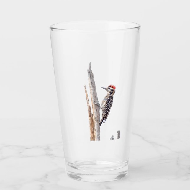 Leiternacken-Specht Glas (Vorderseite)