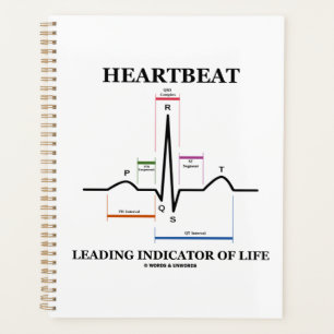 Leitindikator für das Leben EKG/EKG Spaß Planer