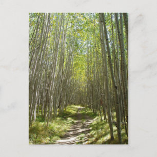 Leitpersonalaspekt Postkarte