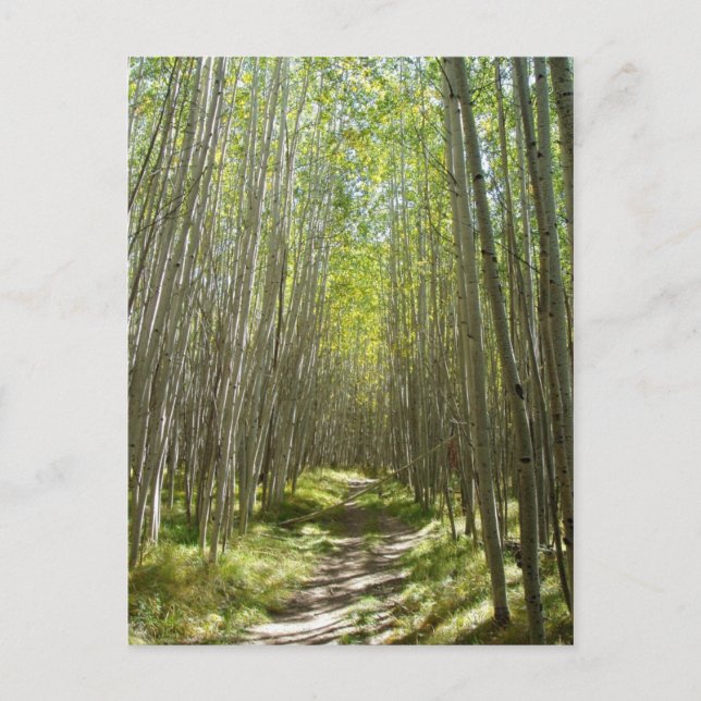 Leitpersonalaspekt Postkarte (Vorderseite)