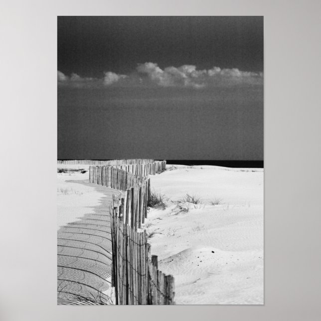 Leitzaun Poster (Vorne)