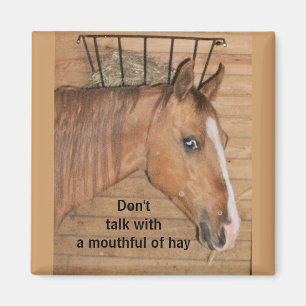 Lektionen von der Mama - Magnet