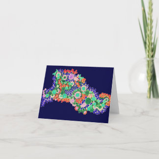 Leliza entwirft leere Anmerkungs-Karte Karte