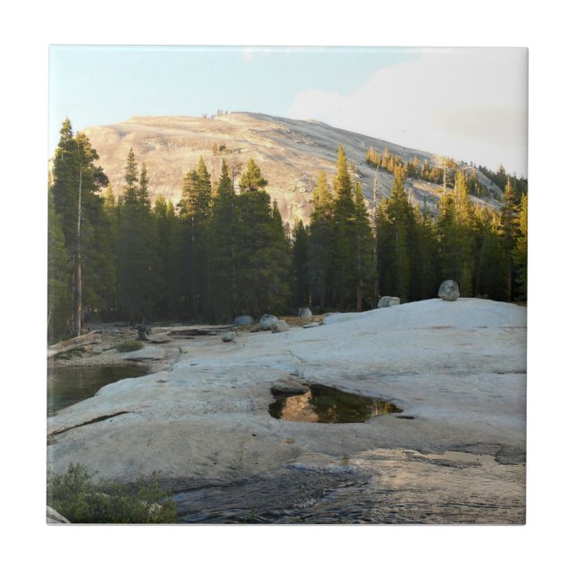 Lembert Dome in Tuolumne Meadows, Yosemite, CA Fliese (Vorderseite)