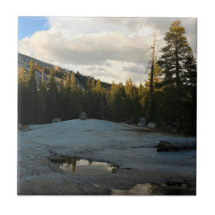 Lembert Dome in Tuolumne Meadows, Yosemite, CA Fliese