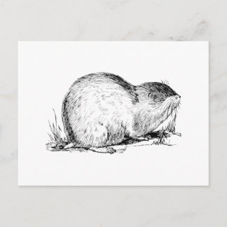 Lemming Postkarte
