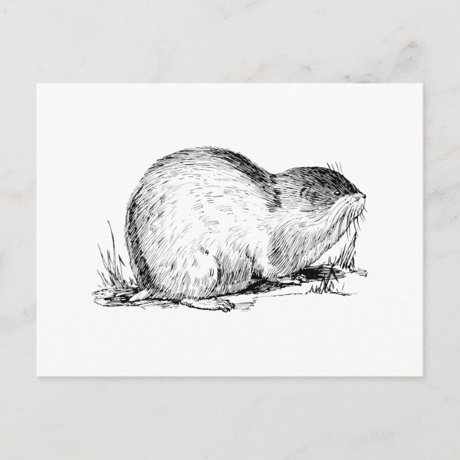 Lemming Postkarte (Vorderseite)