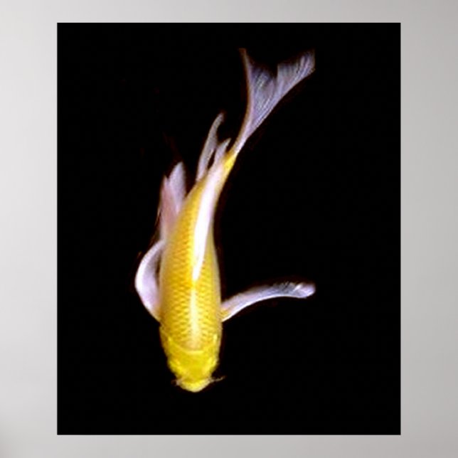 Lemon Butterfly Koi Poster (Vorne)