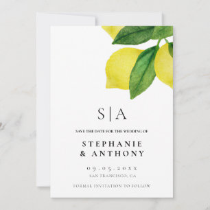 Lemon Citrus Branch Greenerity Wedding Save The Date