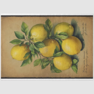 Lemon Fruit Illustration Ephemera No1 Seidenpapier