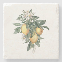 Lemon Fruit Marble Stone Untersetzer