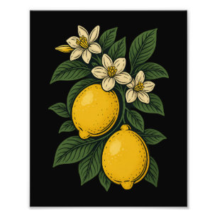 Lemon Fruit Vintag Art Lemon Farm Fotodruck