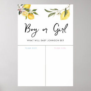 Lemon Garden Girl oder Boy Baby Gender Voting Sign Poster