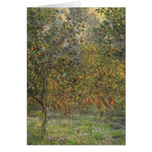 Lemon Grove in Bordighera von Claude Monet