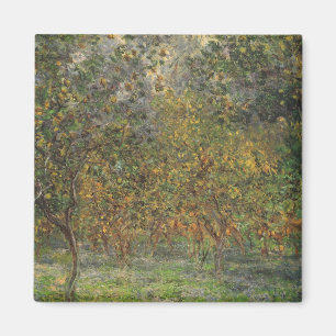 Lemon Grove in Bordighera von Claude Monet Magnet