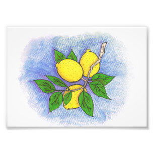 Lemon Illustration Foto Print