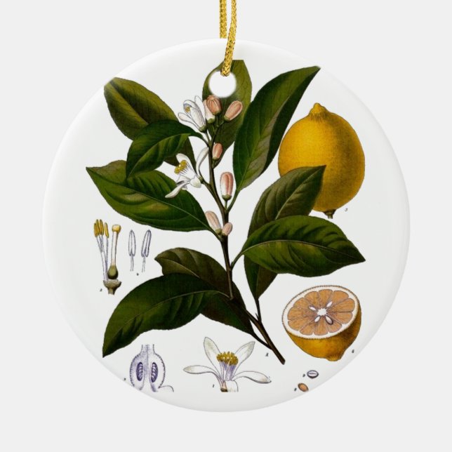 Lemon Keramikornament (Vorne)