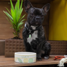 Lemon/Limon Citrus Retro Hund/Katzenschale