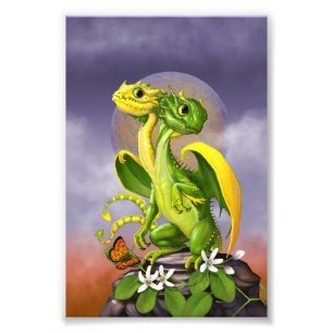Lemon Limon Dragon 4x6 Print Fotodruck