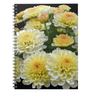 Lemon Meringue Chrysanthemums Notizblock