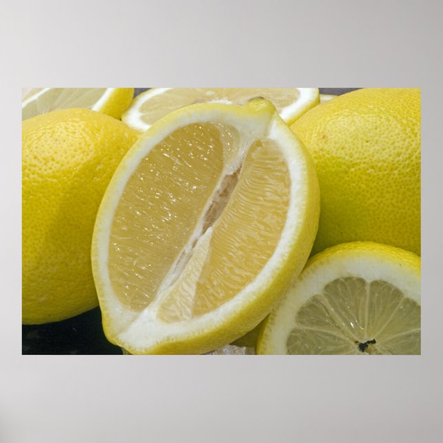 Lemon Picture Poster (Vorne)