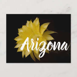 Lemon Pie Cactus Blume Delight, Arizona Postkarte