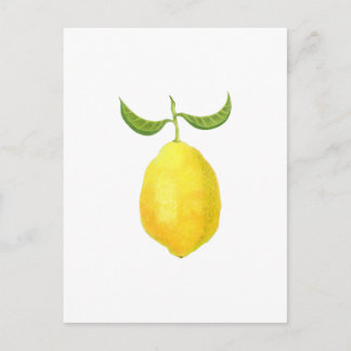 Lemon Postcard Postkarte