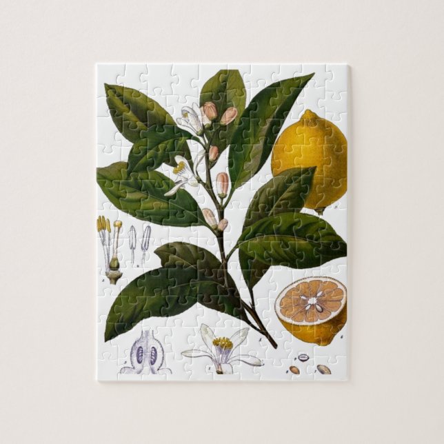 Lemon Puzzle (Vertikal)