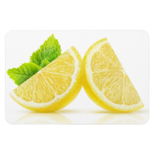Lemon-Scheiben Magnet