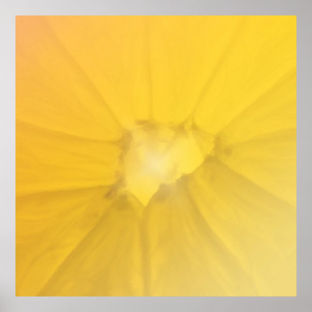 Lemon Section Poster (Vorne)