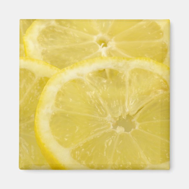 Lemon Slices Magnet (Vorne)