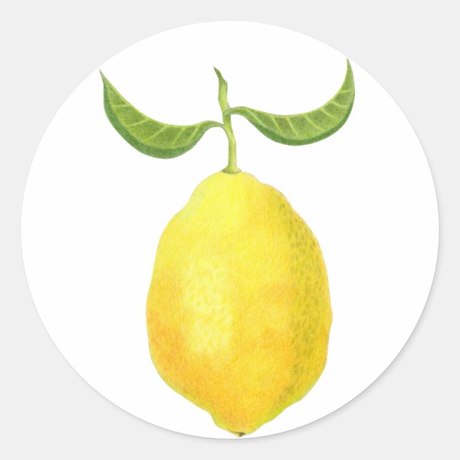 Lemon Sticker (Vorderseite)