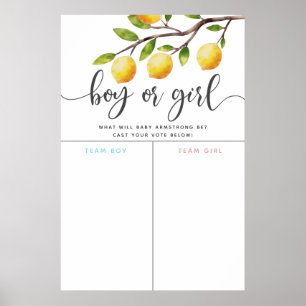 Lemon Theme Gender Reveal Voting Sign Poster