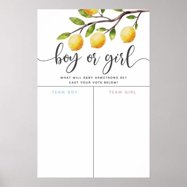 Lemon Theme Gender Reveal Voting Sign Poster (Vorne)